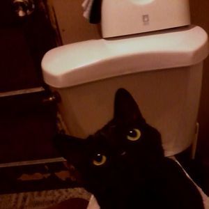 Meet your Posher, Mary jane